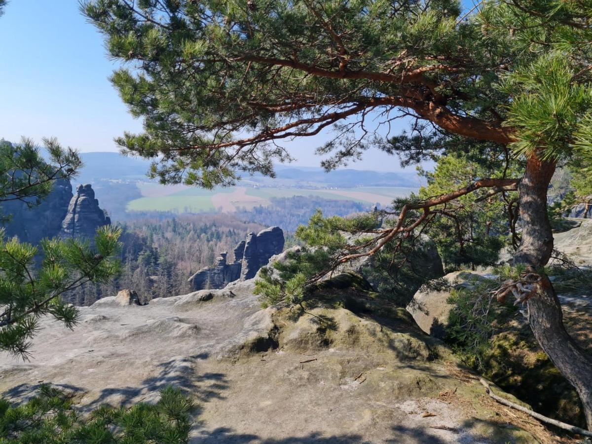 Villa Arizona Bad Schandau Eksteriør bilde